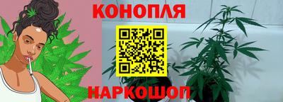 Альфа ПВП Будённовск