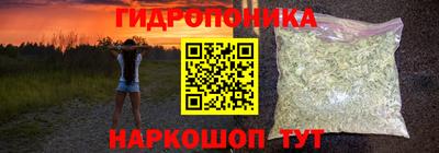 Альфа ПВП Будённовск