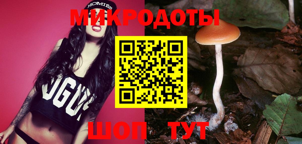 Галлюциногенные грибы мицелий  наркота  Новокуйбышевск  Вход с VPN 