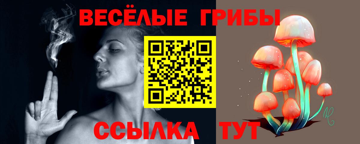 ГЕРОИН Новокуйбышевск