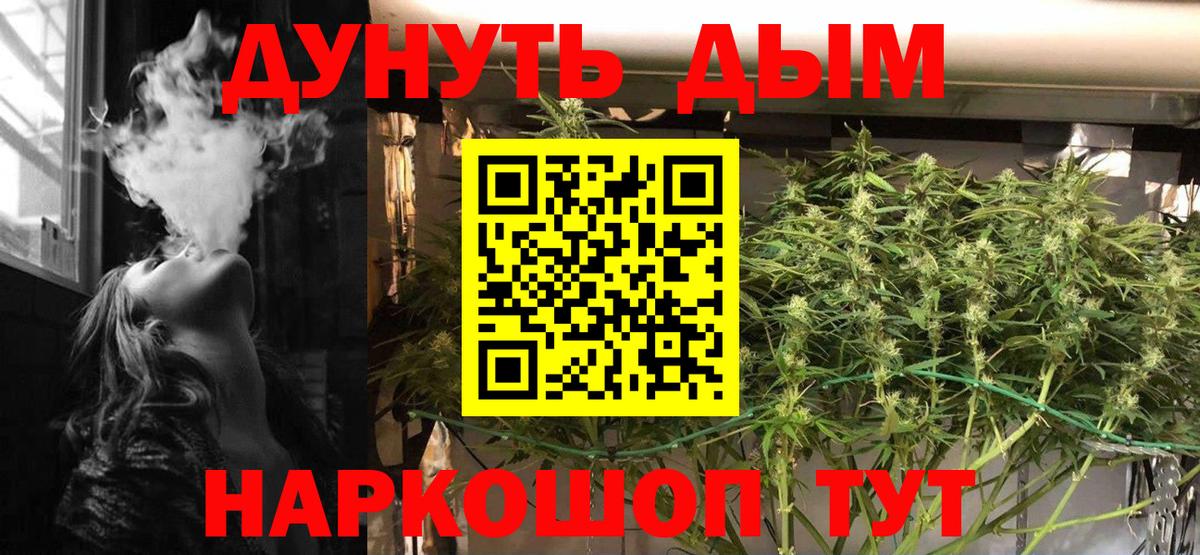 Конопля планчик  Вход с VPN  Шишки марихуана OG Kush  Новокуйбышевск  Бошки марихуана семена  Конопля AK-47 